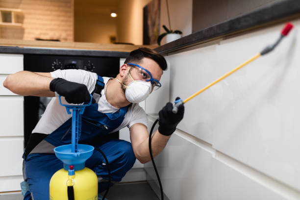 Best Best Pest Control Companies  in Sunbury, OH