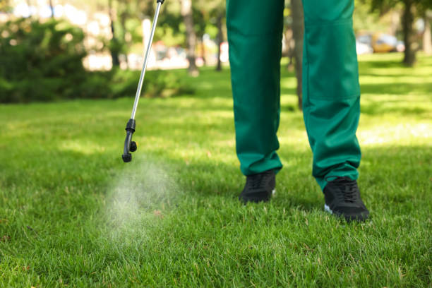 Best Affordable Pest Control Services  in Sunbury, OH