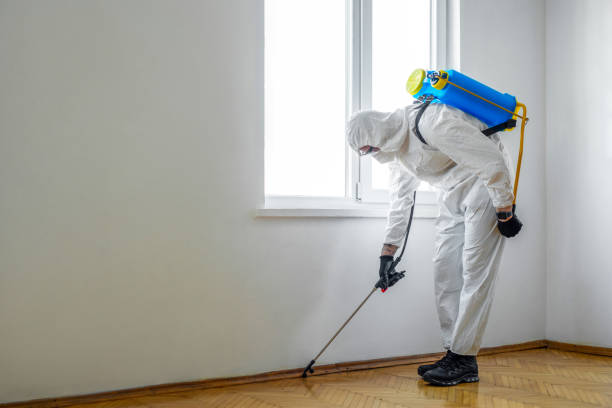 Professional Pest Control in Sunbury, OH
