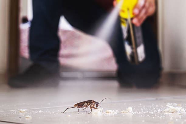 Best Spider Control Near Me  in Sunbury, OH